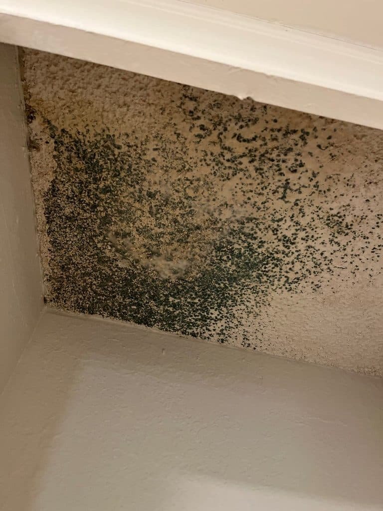 Mold growth on a wall near the ceiling after an AC leak in Oxnard