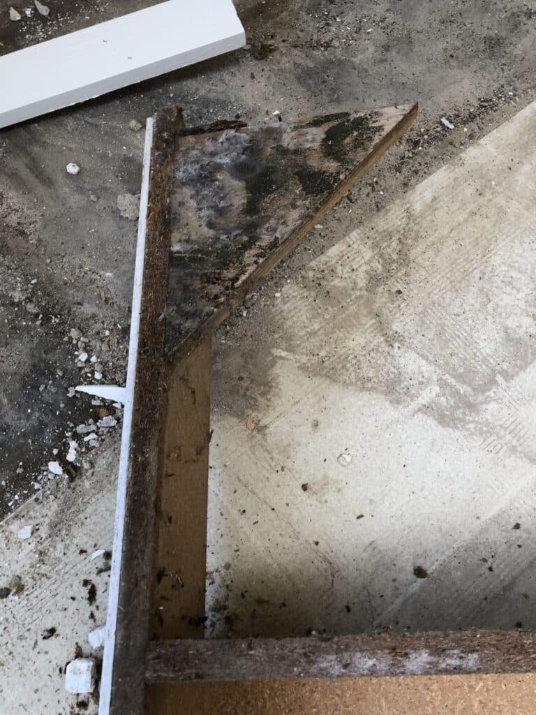 Affected cabinet material exposed during a mold remediation project