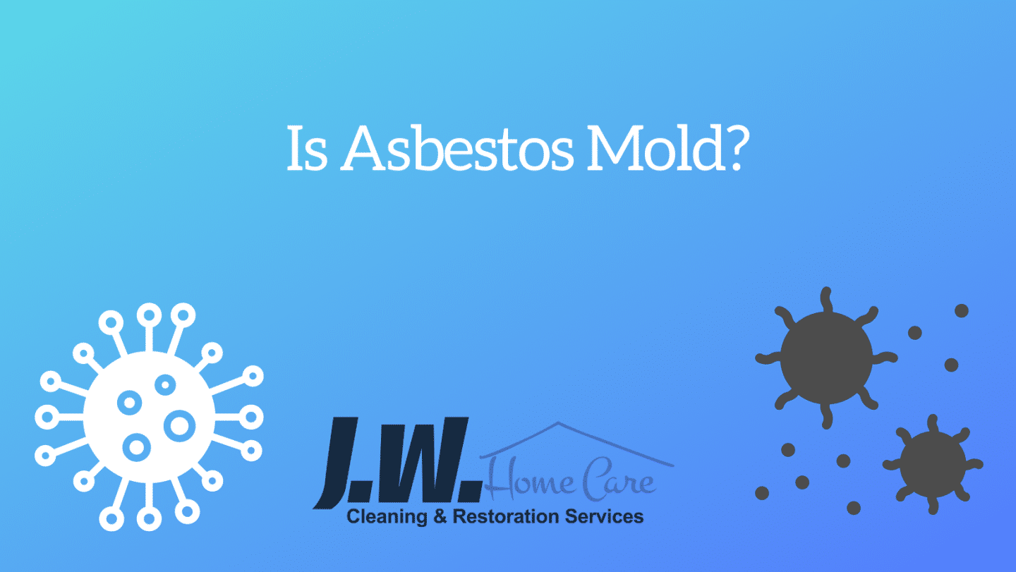 Is Asbestos Mold?