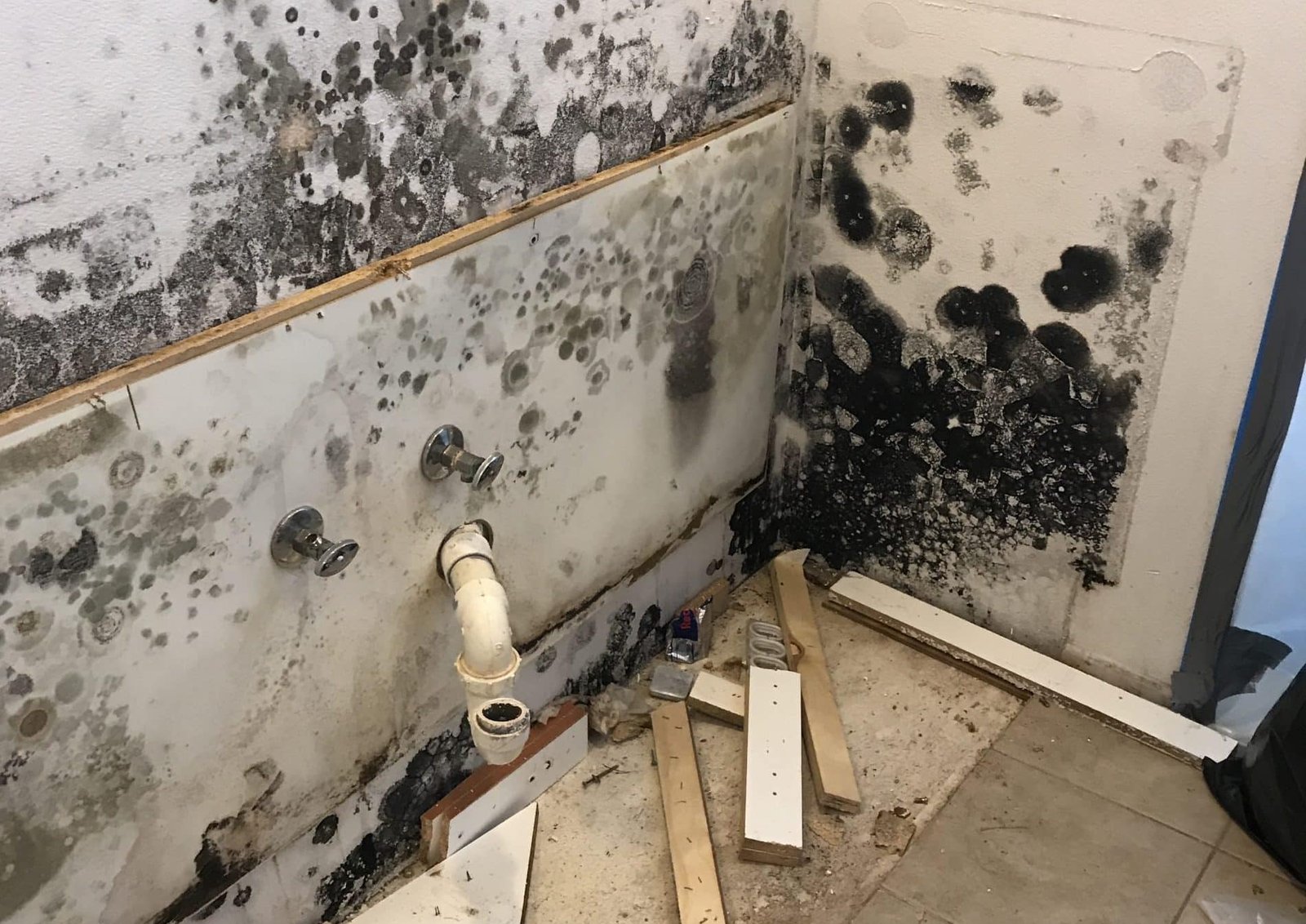 Mold Remediation For Townhouse Owners photo