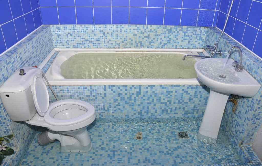 What To Do If My Toilet Overflows