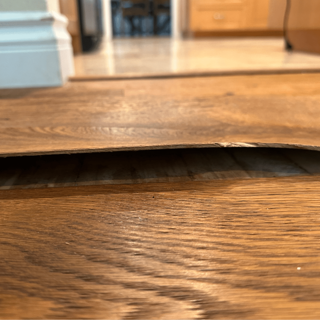 Identifying Water Damage - JW Home Care